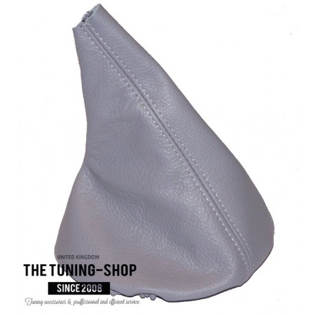 Bmw silver grey leather dye #2